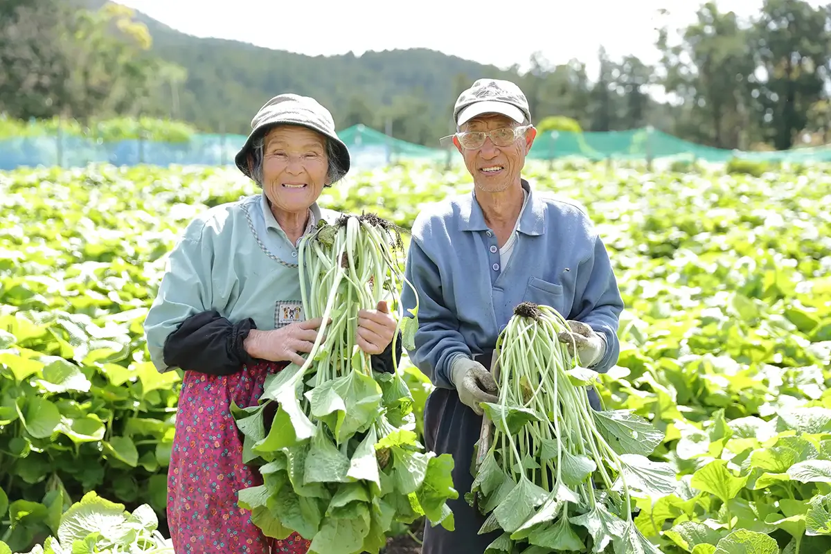 Purchase directly from producers