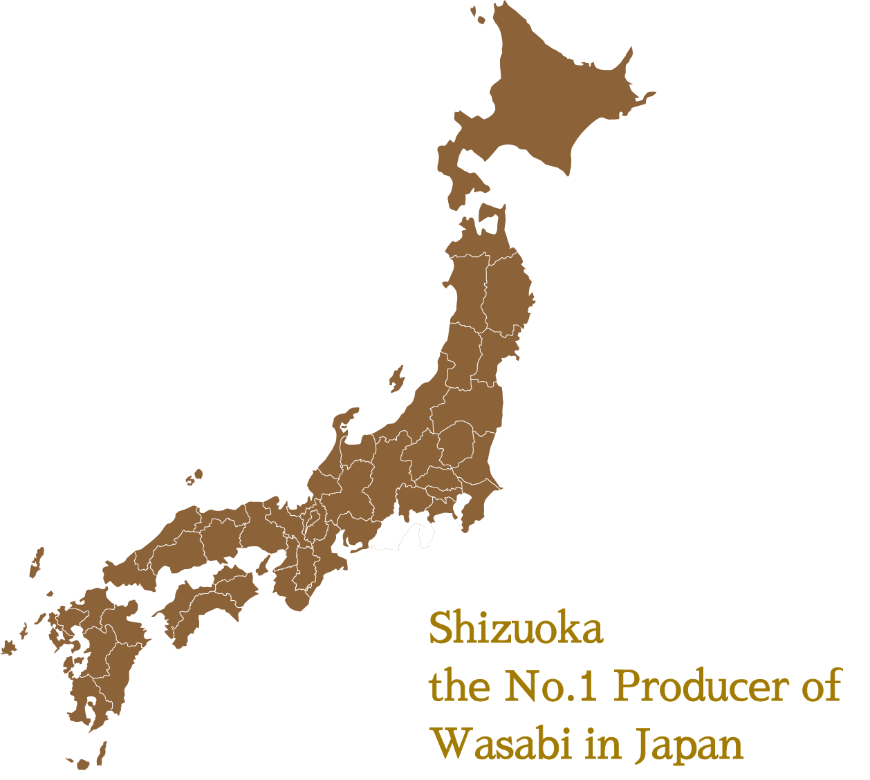 Shizuoka the No.1 Producer of Wasabi in Japan