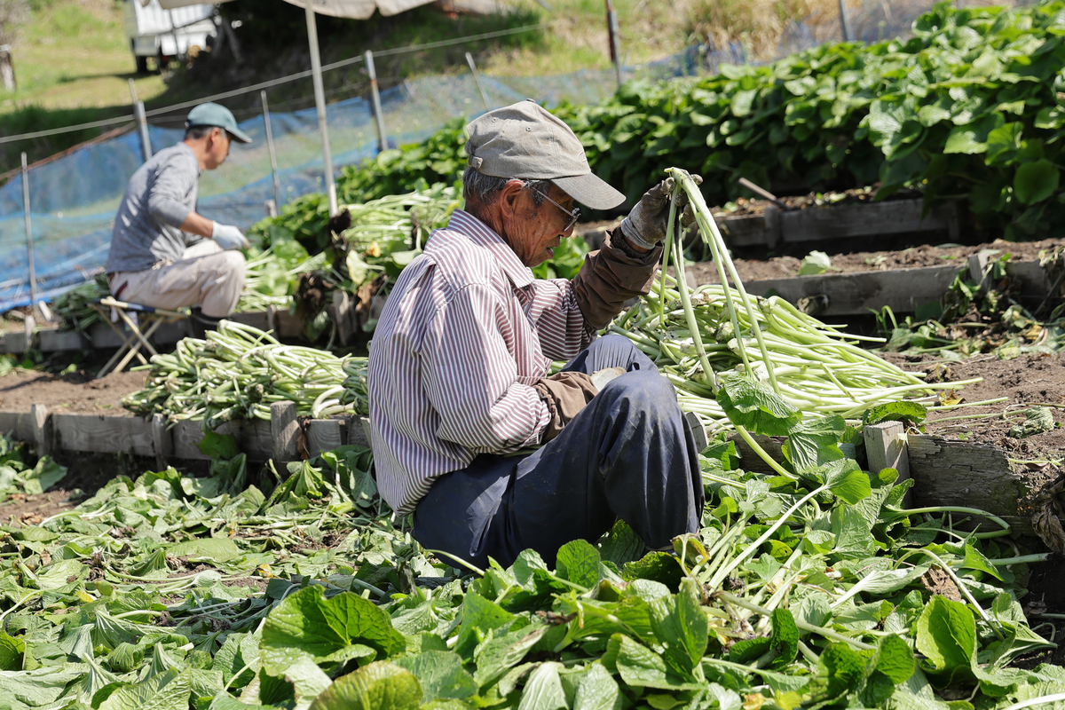 TAMURADHOKUHIN IMAGEPHOTO